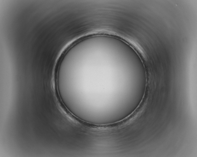 X0000111500888200907141041
