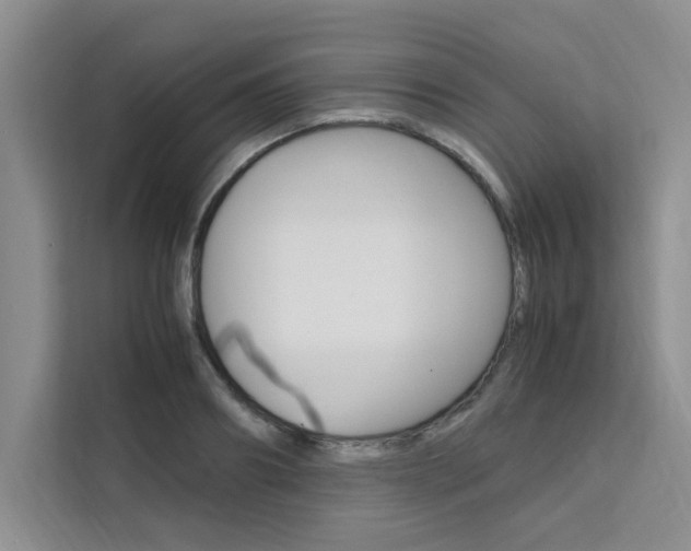 X0000111500890200907141041