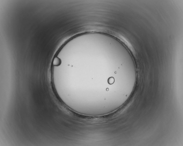 X0000111500891200907141041