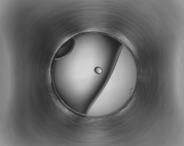 X0000111500892200907141041