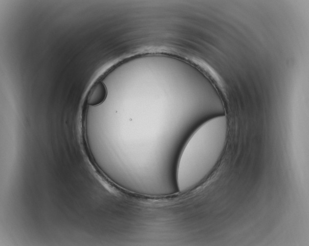 X0000111500894200907141041