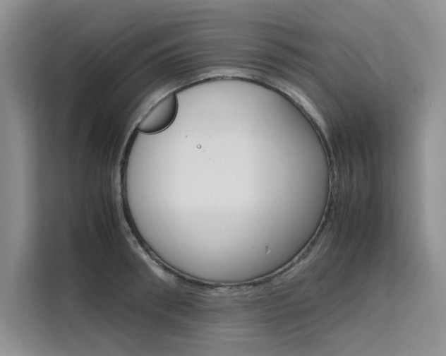 X0000111500898200907141041