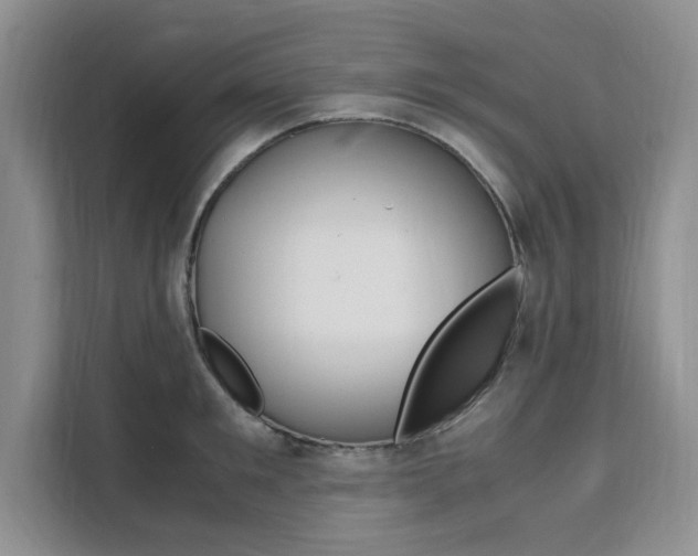 X0000111500901200907141041