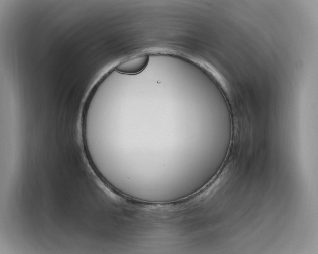 X0000111500902200907141041
