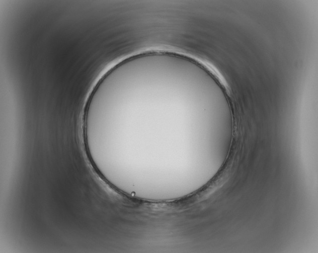 X0000111500903200907141041