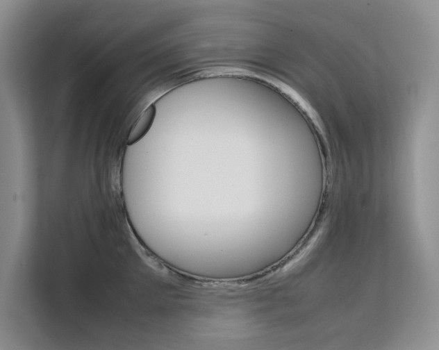 X0000111500905200907141041