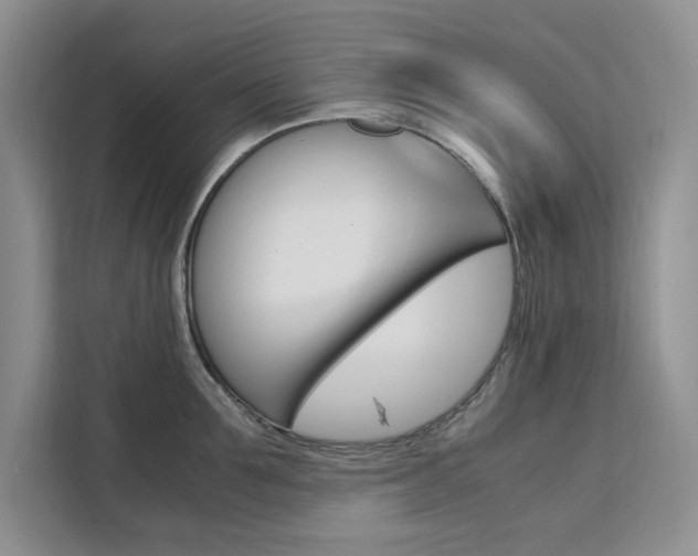 X0000111500907200907141041
