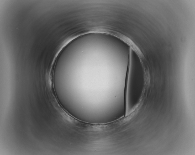 X0000111500908200907141041