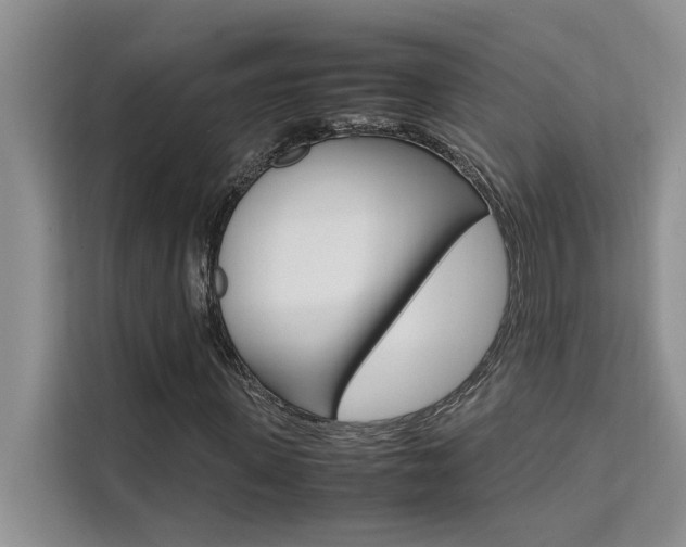 X0000111500915200907141040