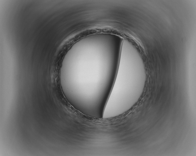 X0000111500920200907141040