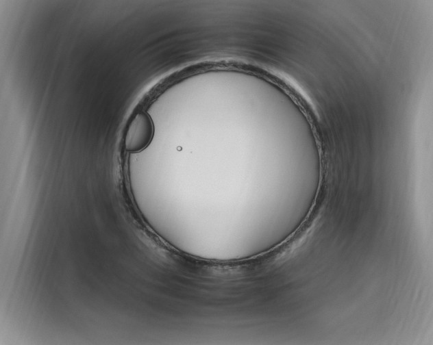X0000111500927200907141040