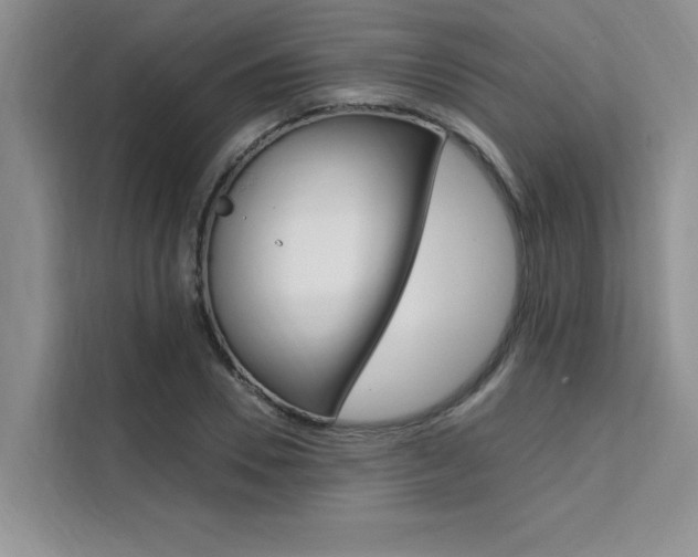 X0000111500930200907141040