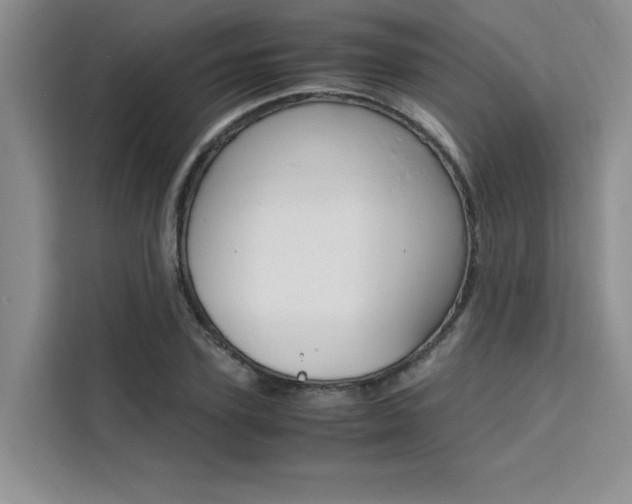 X0000111500931200907141040