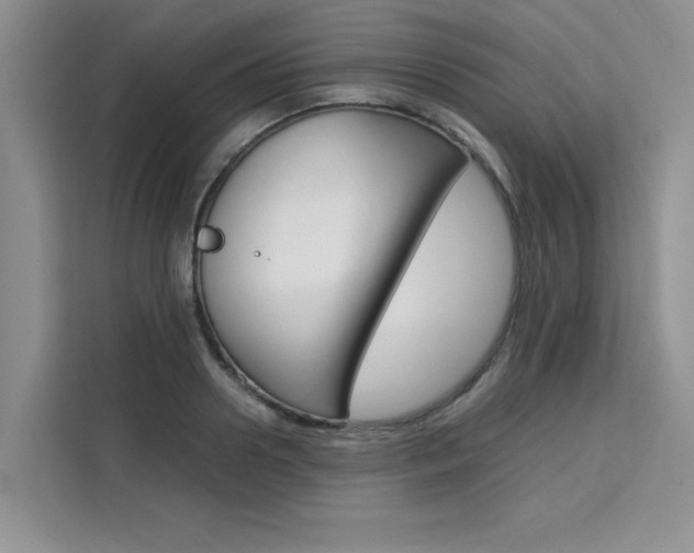 X0000111500938200907141041