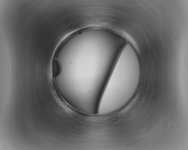X0000111500940200907141041