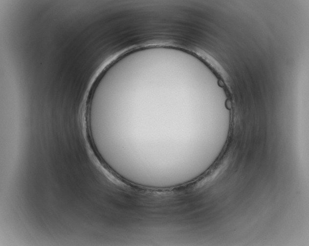 X0000111500941200907141041