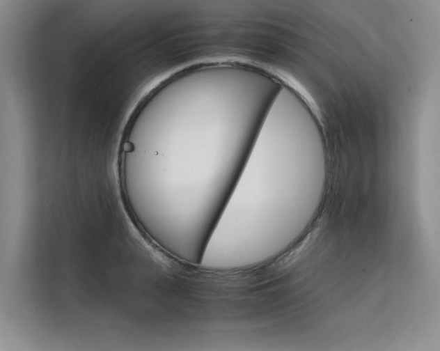 X0000111500943200907141041