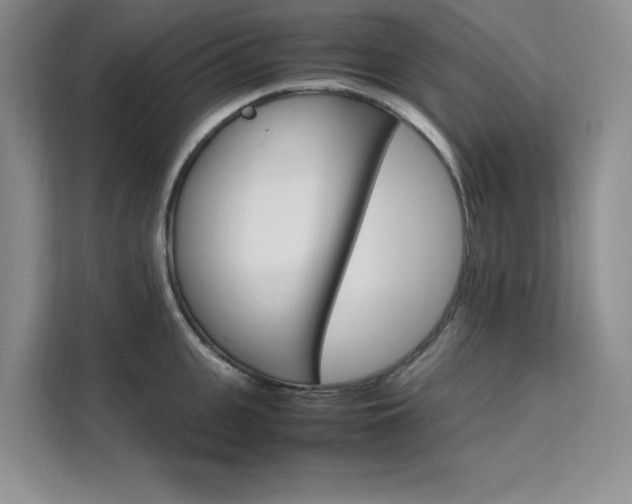 X0000111500951200907141041