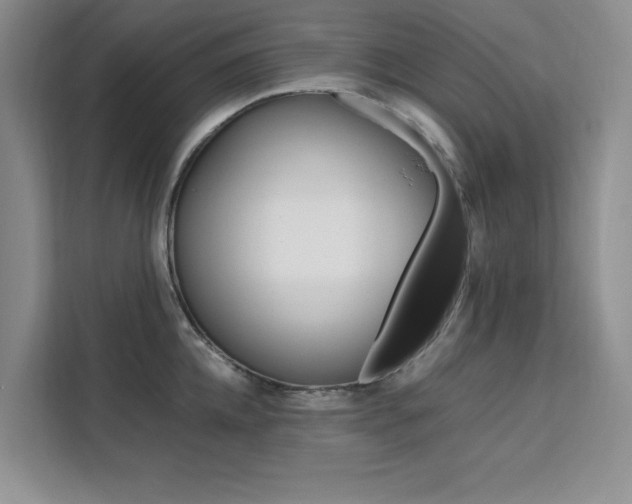 X0000111500952200907141041