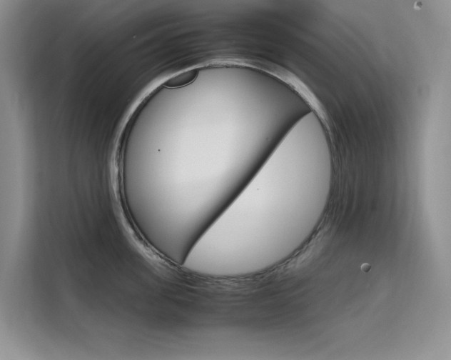 X0000111500955200907141041