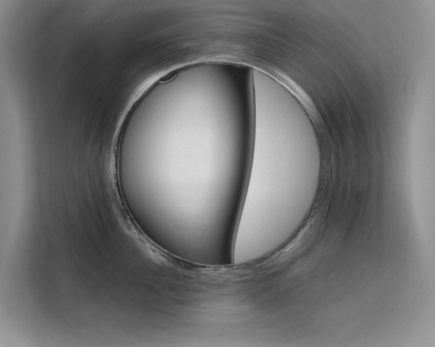 X0000111500956200907141041