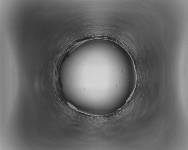 X0000111500961200907141040