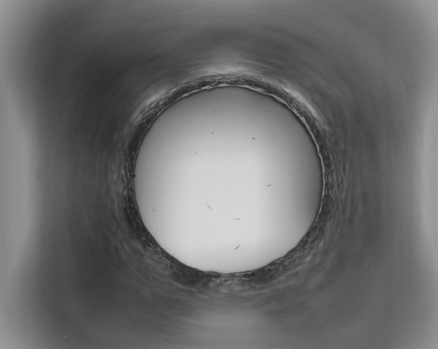 X0000111500967200907141040