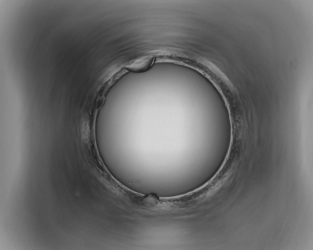 X0000111500969200907141040