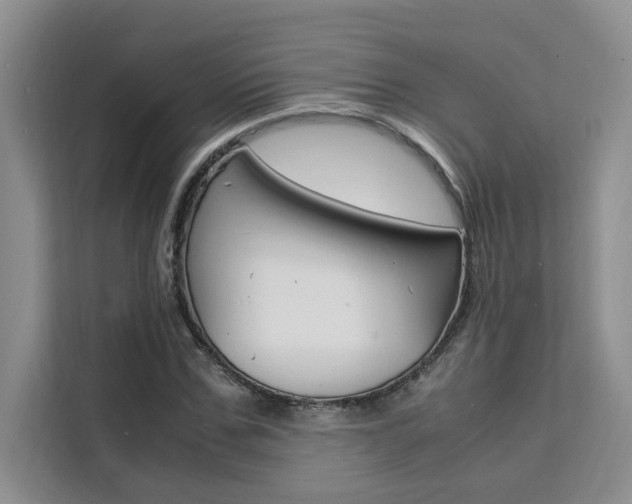 X0000111500971200907141040