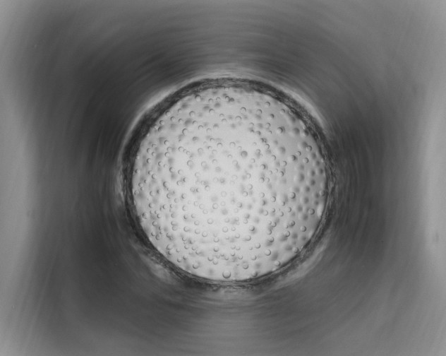 X0000111500974200907141040