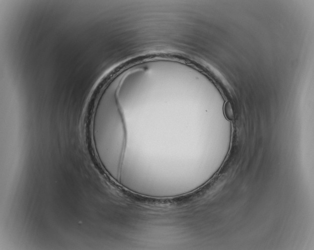 X0000111500975200907141040