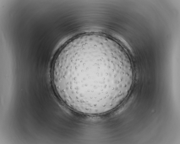 X0000111500978200907141040