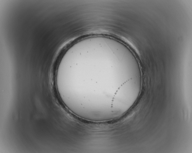 X0000111500979200907141040