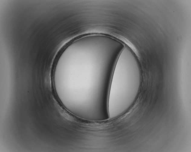 X0000111500980200907141040