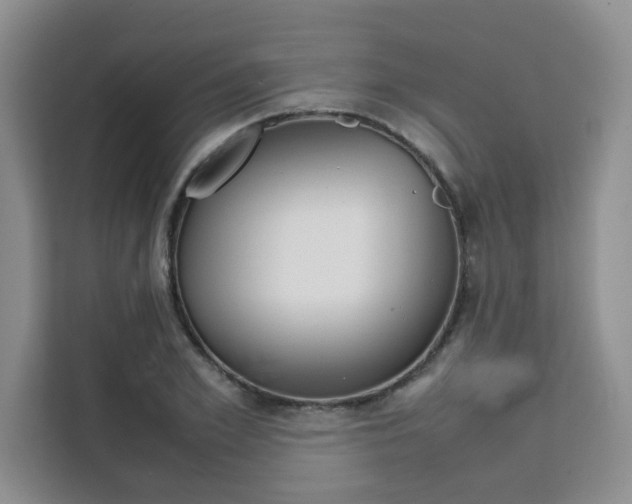 X0000111500981200907141040