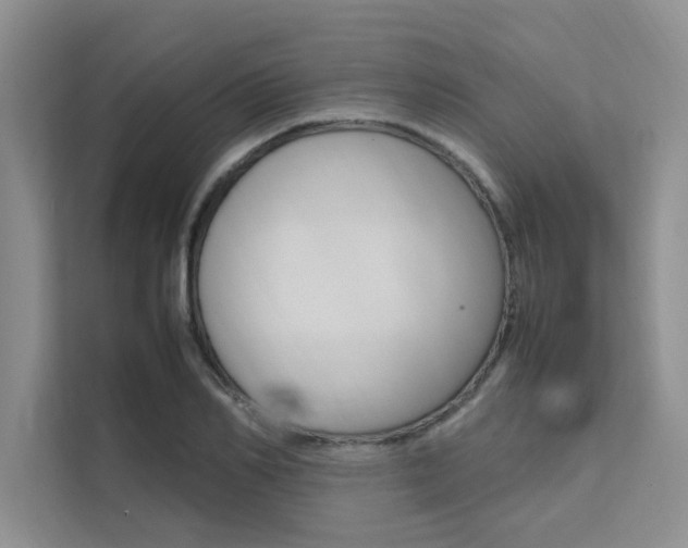 X0000111500982200907141040