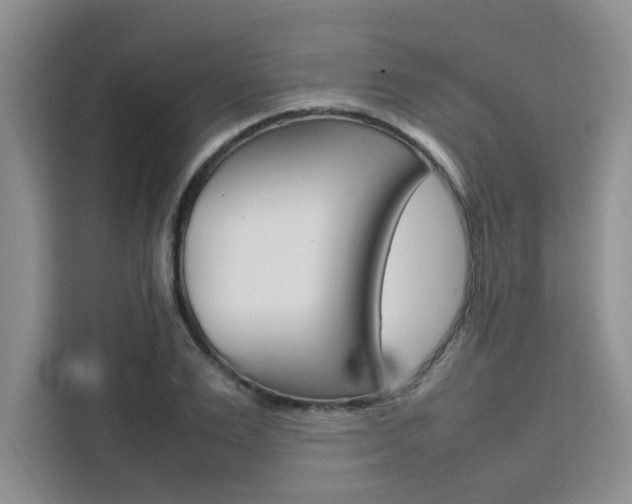 X0000111500983200907141040