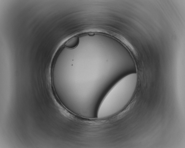X0000111500988200907141040
