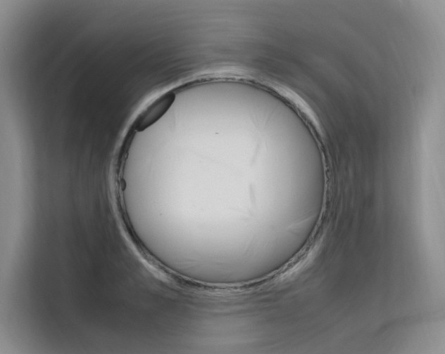 X0000111500989200907141040