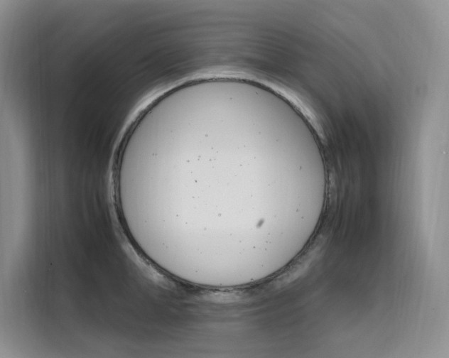 X0000111500998200907141040