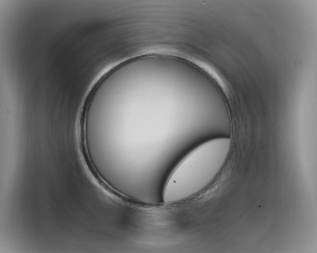 X0000111500999200907141040