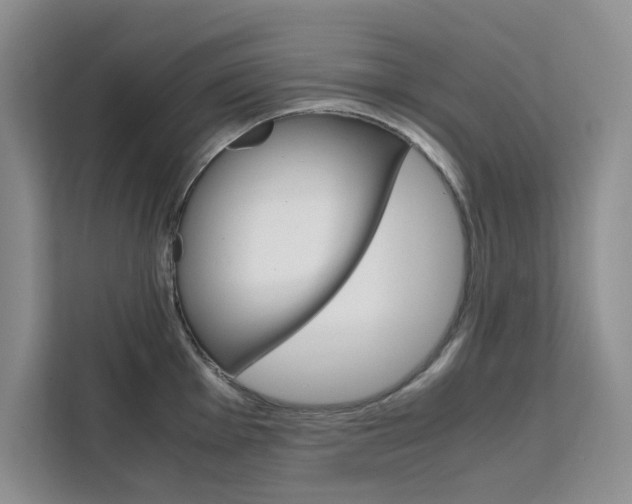 X0000111501001200907141040