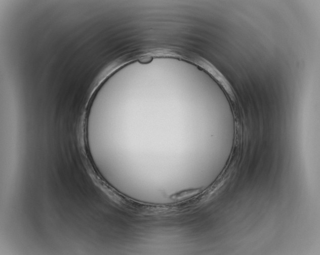 X0000111501002200907141040