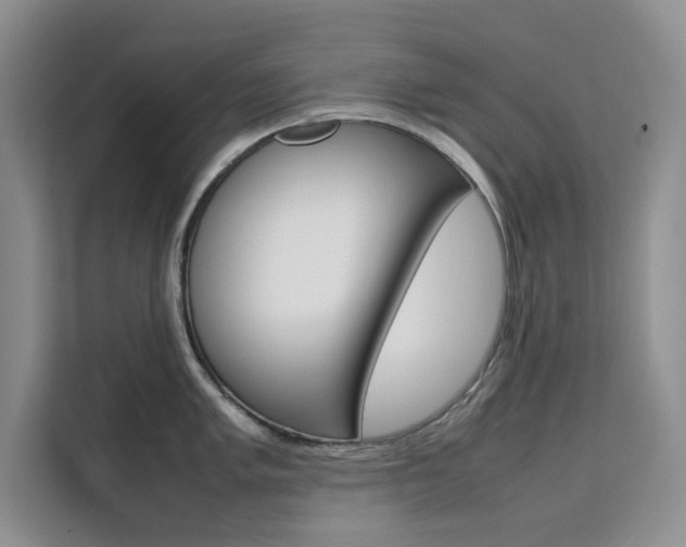 X0000111501005200907141040