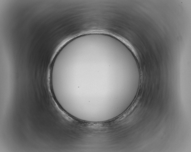 X0000111501006200907141040