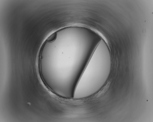X0000111501007200907141040