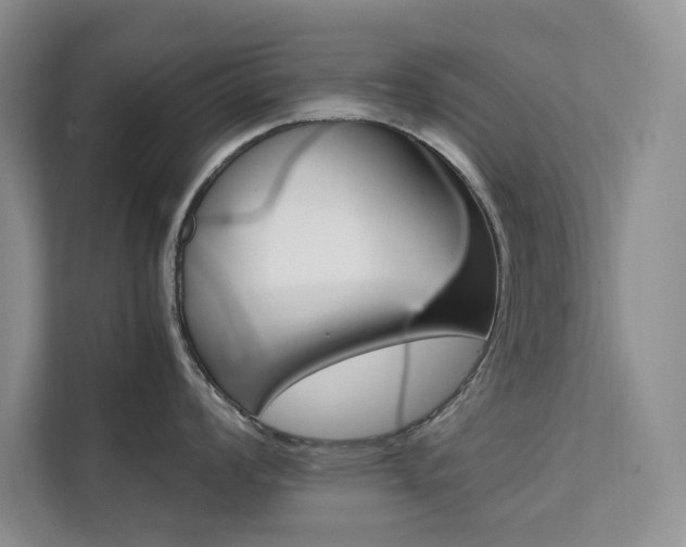 X0000111501008200907141040
