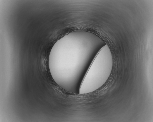 X0000111501010200907141039