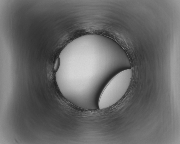 X0000111501012200907141039