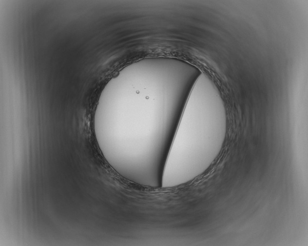 X0000111501013200907141039